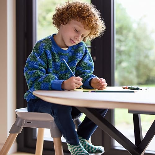 Bebeconfort Avista 2, 4-in-1 Hochstuhl mitwachsend, Hochstuhl Baby, Sitzerhöhung Essstuhl, Kinderhochstuhl, 6 Monate bis 14 Jahre (9–60 kg), gepolsterte Kissen, Verstellbares Tablett, Tinted Grey