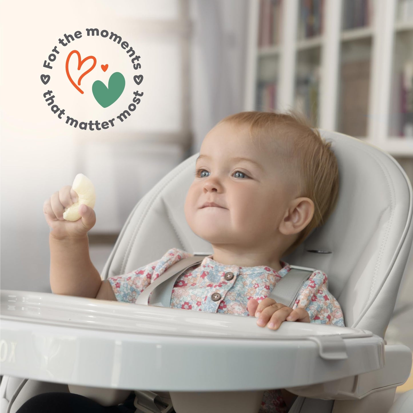 Sweety Fox Hochstuhl Baby mit Liegefunktion - Verstehllbar und Klappbar, Kinderstuhl mit Sicherheitsgurt - Mitwachsender Kinderhochstuhl 6 Monaten bis 3 Jahren, max. 15 kg - Grau